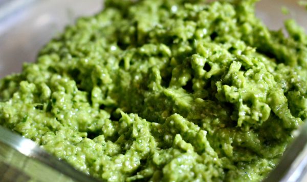 Garlic Scape Pesto with Basil Recipe #garlicpesto #pestorecipe #basilrecipe