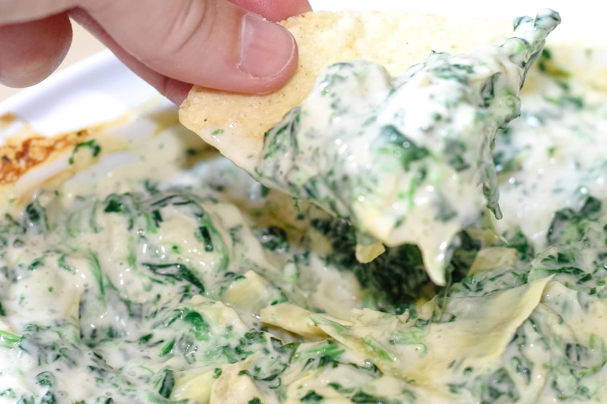 spinach and artichoke dip on a tortilla chip