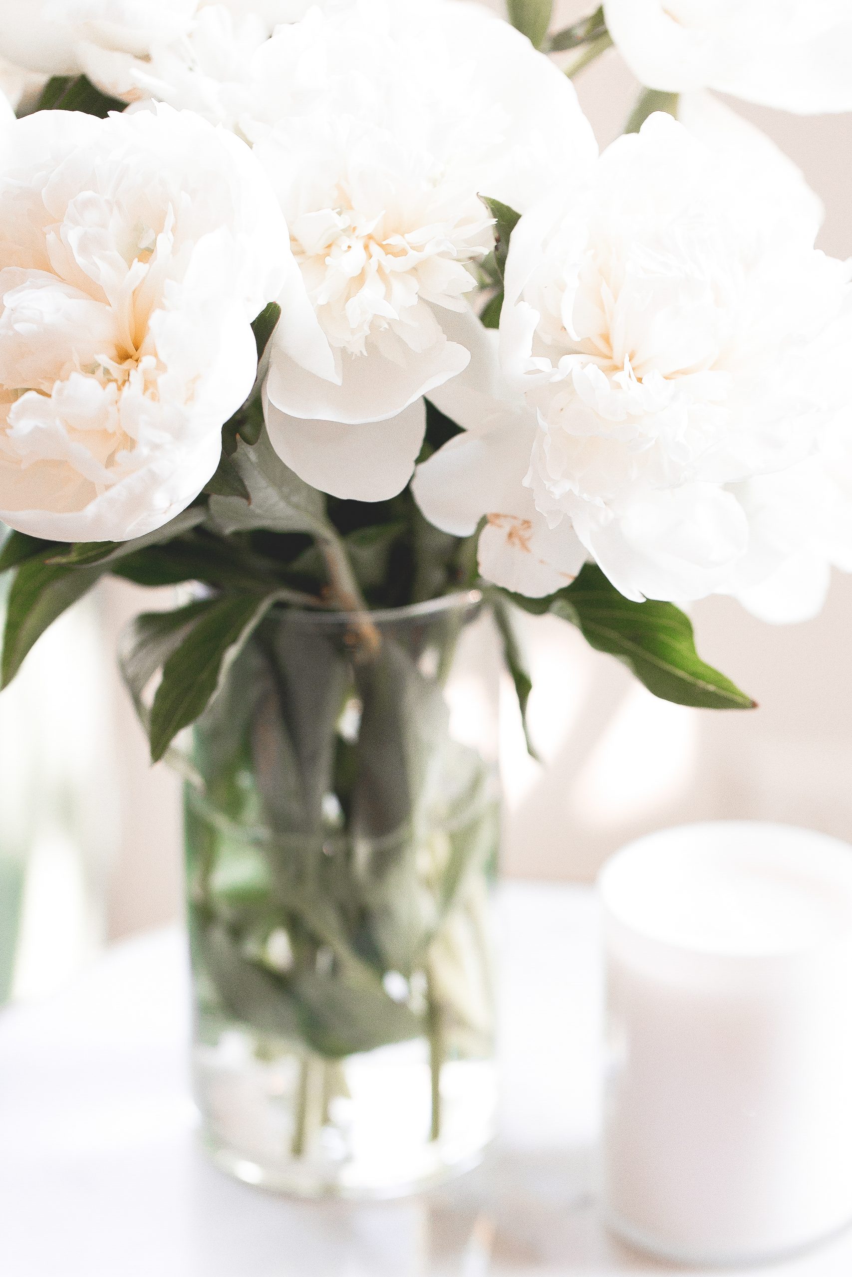 close up of a vase of peonies