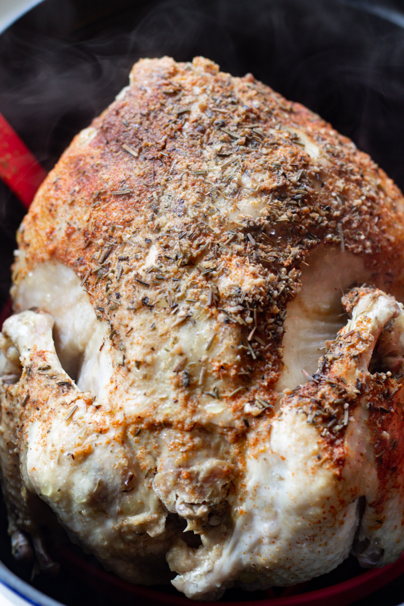 how-to-cook-a-whole-frozen-chicken-in-your-instant-pot-snug-cozy-life