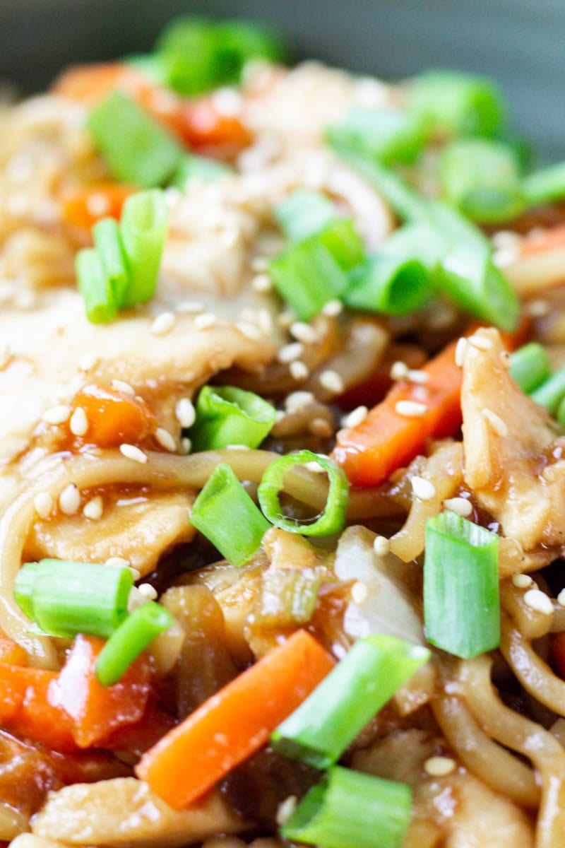 extreme close up of chicken lo mein with sesame seeds and green onions