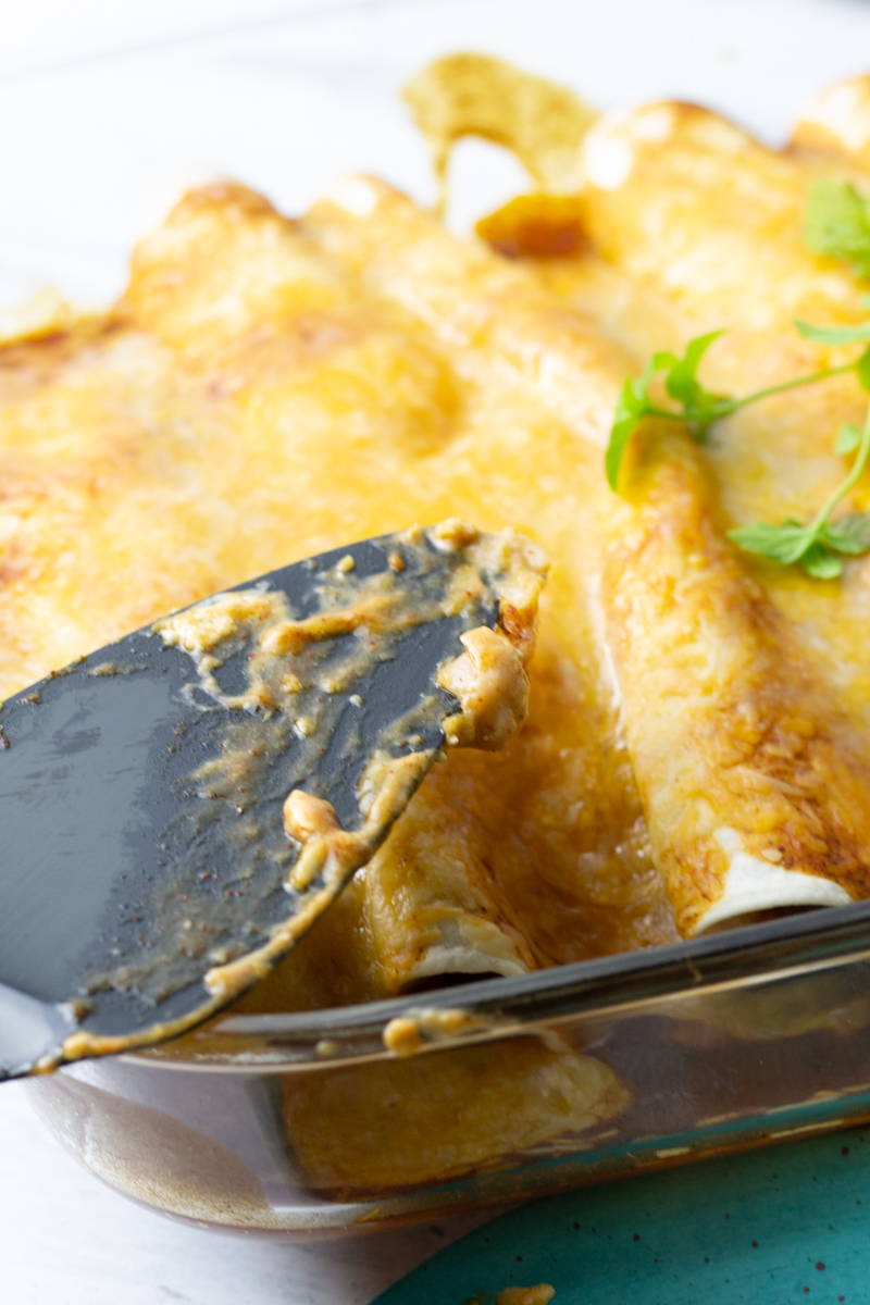 Easy KidFriendly Chicken Enchiladas Snug & Cozy Life
