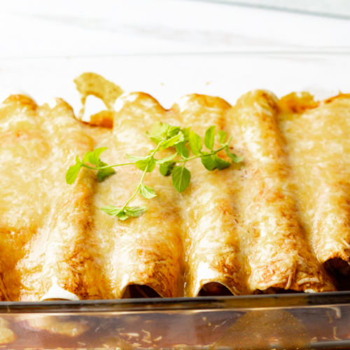Easy KidFriendly Chicken Enchiladas Snug & Cozy Life