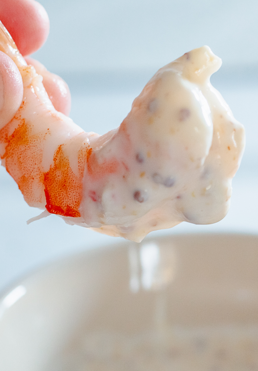 Honey Mustard Horseradish Dip Only 4 Ingredients! Snug & Cozy Life