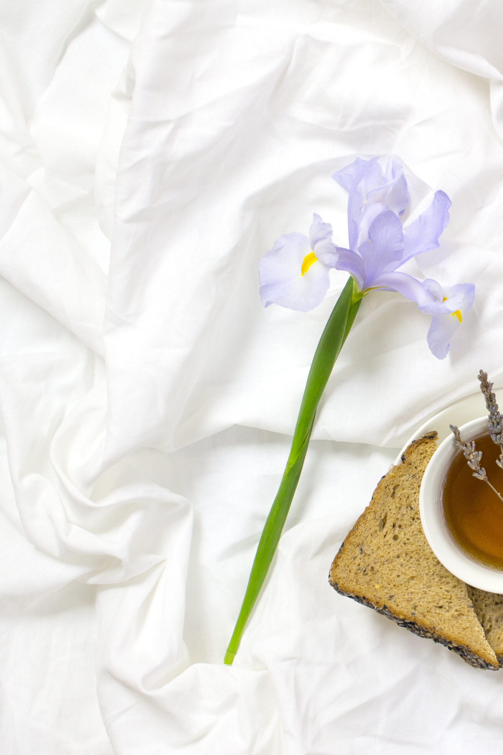 cup of tea and toast with a single flower on a bed