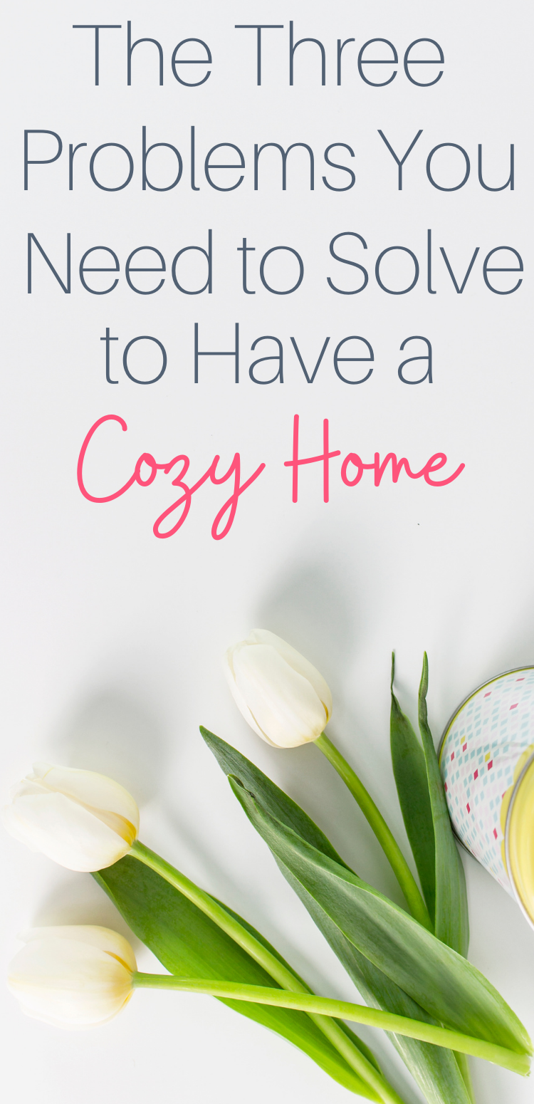 pinterest pin flowers with text overlay "the 3 problems you need to solve to have a cozy home"