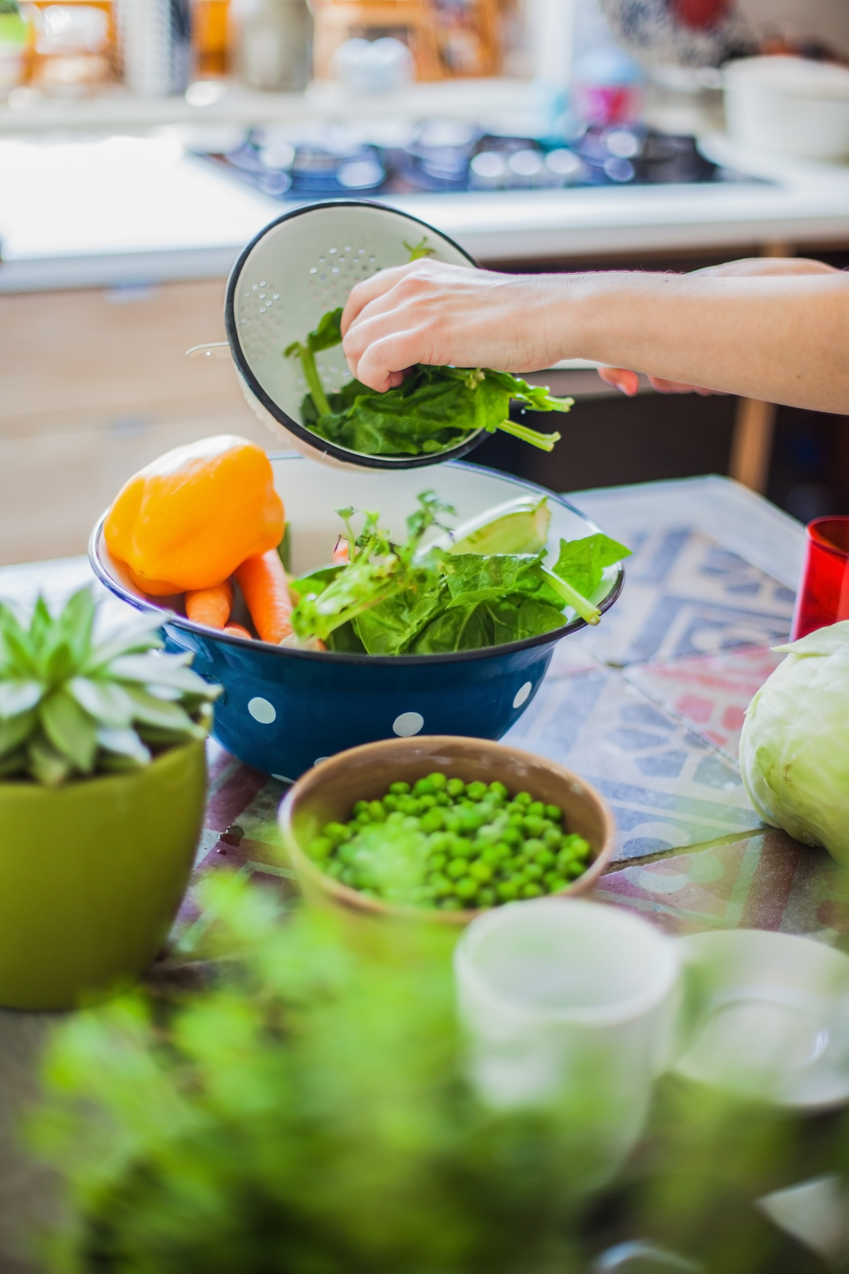 non descript hands putting lettuce into a salad bowl at a table filled with plants and vegetables