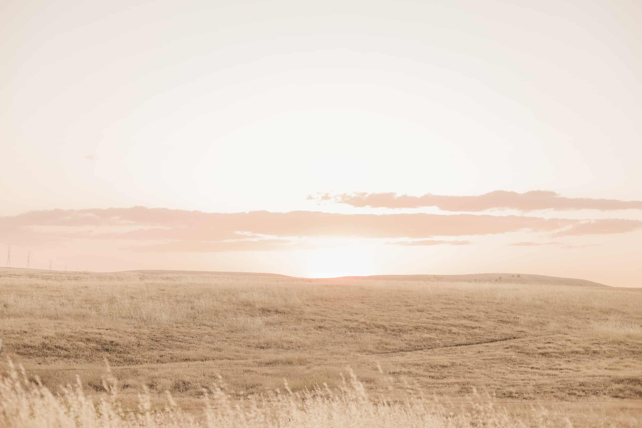 landscape of an open field and horrizon at sunset