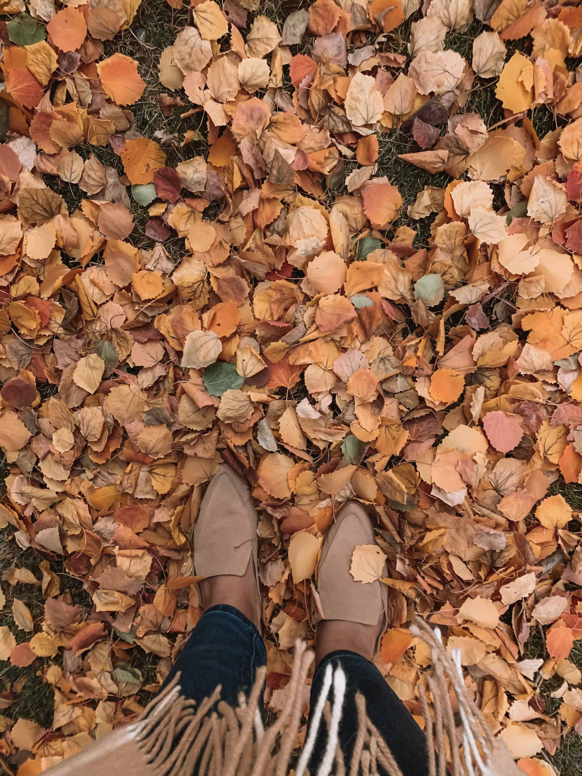 non dexcript woman's feet standing in a pile of fall leaves