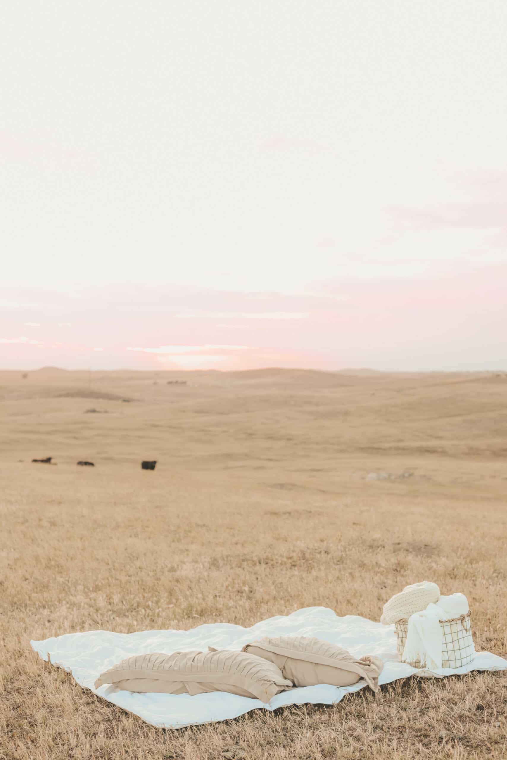 blanket and pillows in a field with a sunrise coming into view