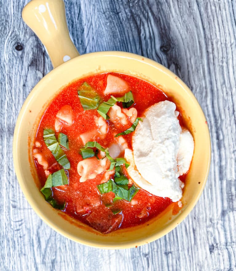 overhead view of a bowl of lasagna soup