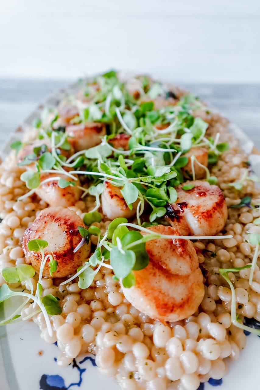 Close-up of golden-brown seared scallops placed on a bed of pearl couscous, topped with fresh microgreens for a light, elegant meal.