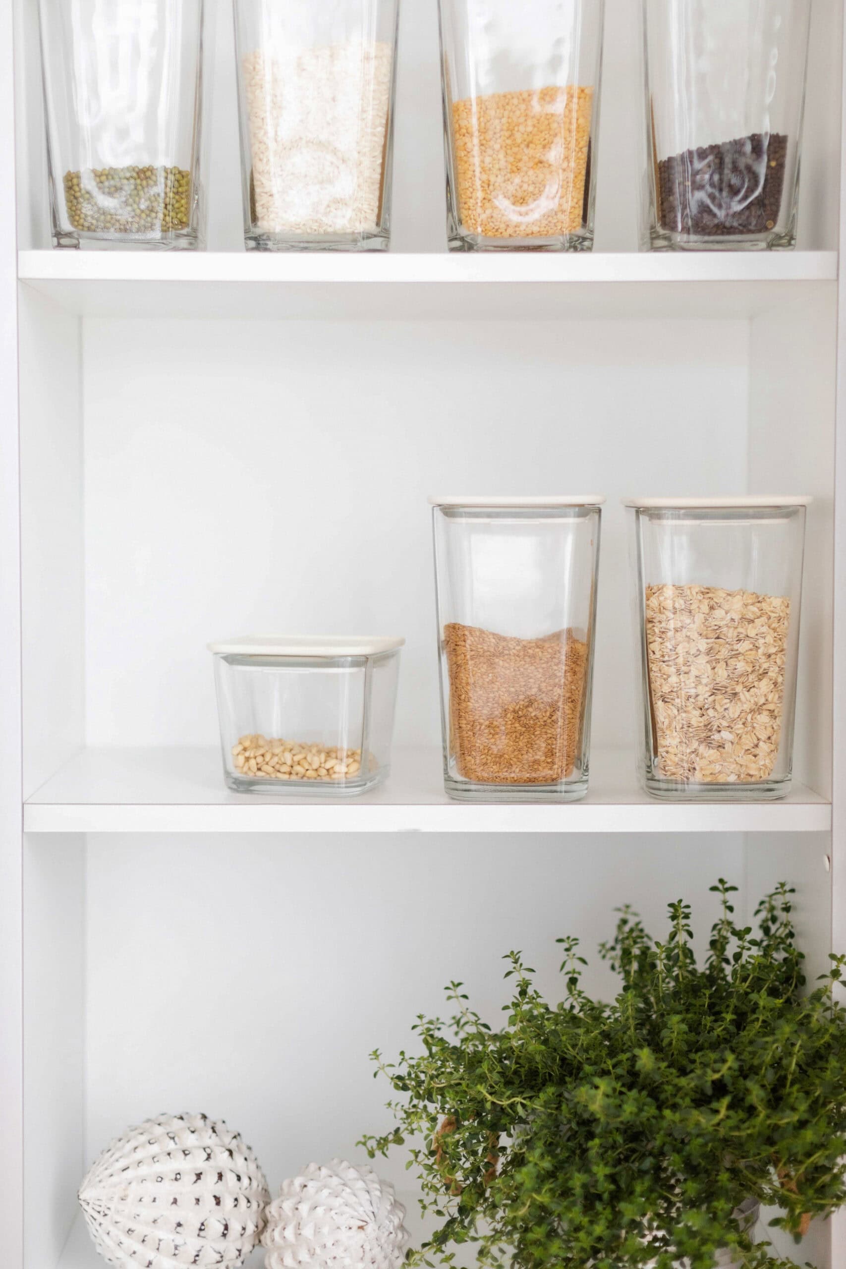 Clear glass containers filled with various grains and cereals are neatly arranged on white shelves. A small green potted plant and two decorative white objects are placed on the bottom shelf. A clean and organized pantry.